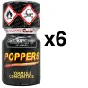 FL Leather Cleaner  8mL x6